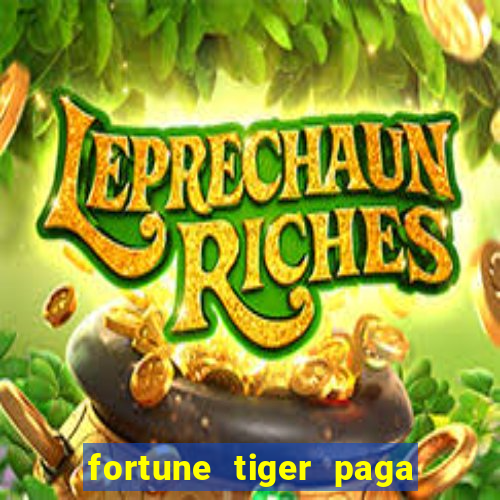 fortune tiger paga de madrugada